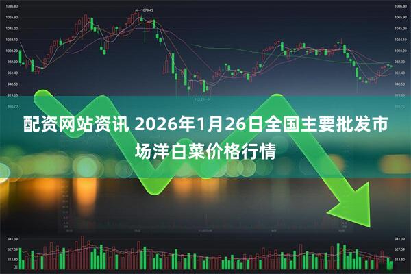 配资网站资讯 2026年1月26日全国主要批发市场洋白菜价格行情