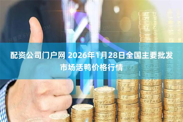 配资公司门户网 2026年1月28日全国主要批发市场活鸭价格行情