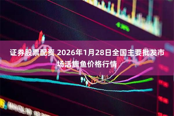 证券股票配资 2026年1月28日全国主要批发市场活鳜鱼价格行情